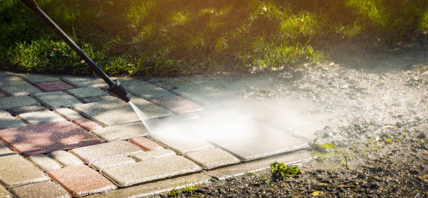 Best Sidewalk and Walkway Cleaning  in Eustis, FL