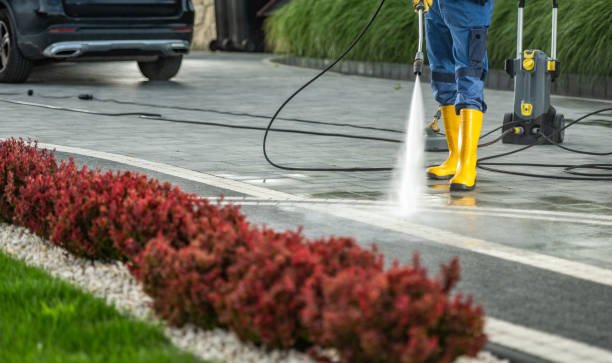 Animal Enclosure Cleaning in Eustis, FL